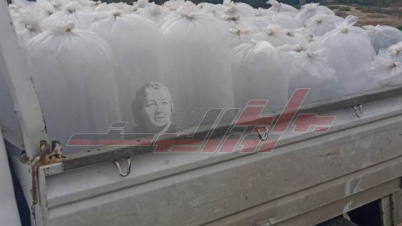 ضبط الزريعة