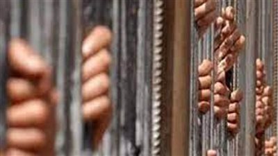 السجن 5 سنوات لـ4 متهمين من بينهم سيدة لضرب شخص بالشرقية