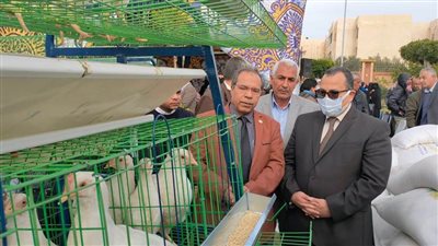 تعاون مشترك بين شمال سيناء ومركز بحوث الصحراء 