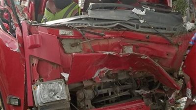 بالأسماء.. مصرع سيدتين وإصابة 20 في سقوط شجرة على سيارة عمال بالدقهلية