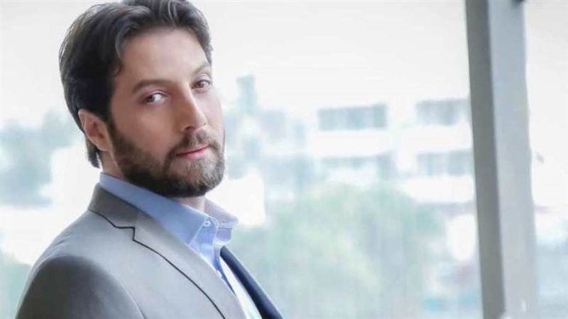 الفنان السوري محمد