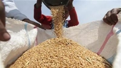 مخزون القمح.. بيان تكشف تفاصيله غرفة صناعة الحبوب 
