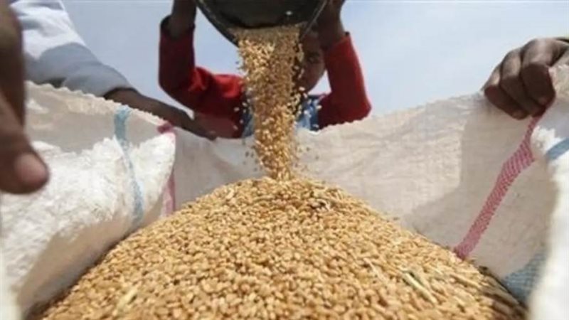 مخزون القمح
