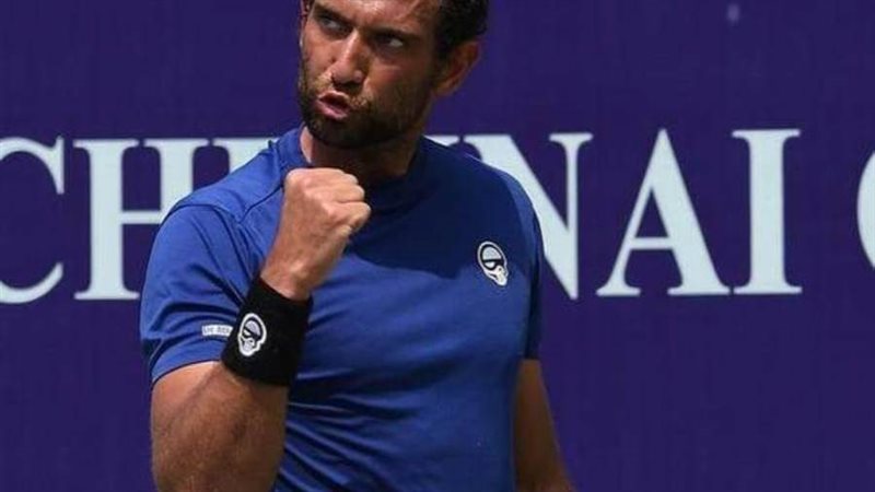 محمد صفوت نجم التنس