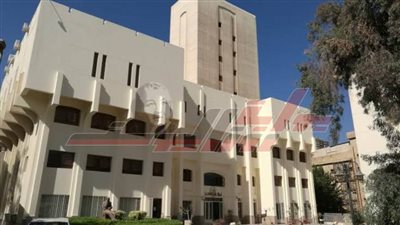 نشاط ثقافي مكثف للجان المتخصصة بالمجلس الأعلى للثقافة