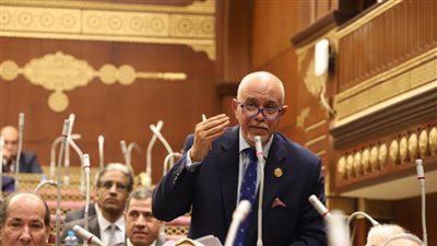 برلماني: جشع بعض التجار السبب الرئيسي في موجة ارتفاع الأسعار