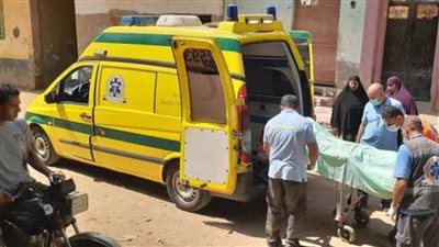 مصرع شاب وطفل في حادثي سقوط من سيارة وتصادم قطار بشبين القناطر 