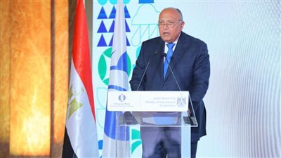 شكري: إقرار الاستراتيجية يتزامن مع الجهود المصرية الدؤوبة لتحقيق التنمية المستدامة 