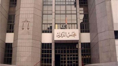 غدًا.. الحكم في 100دعوى لعودة الحصص الاستيرادية الملغاة ببورسعيد