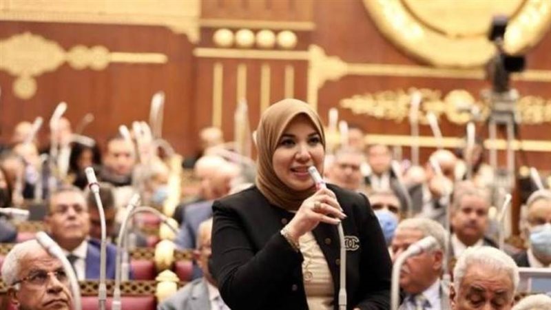 الدكتورة دينا هلالي