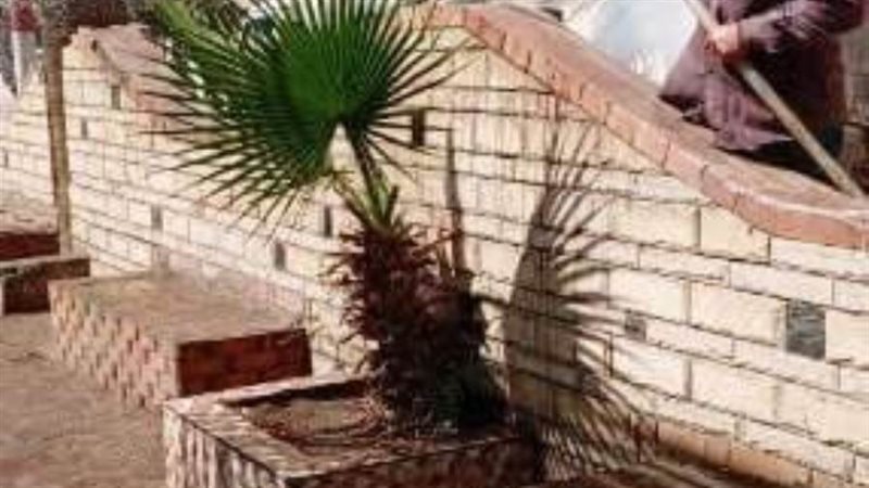 تكثيف حملات النظافة