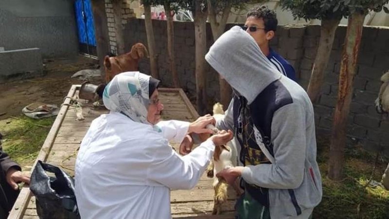 استمرار أعمال القوافل