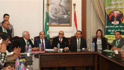 أبوشقة: إرادة المصريين لا تقهر وصخرة صلبة تتحطم عليها المؤامرات