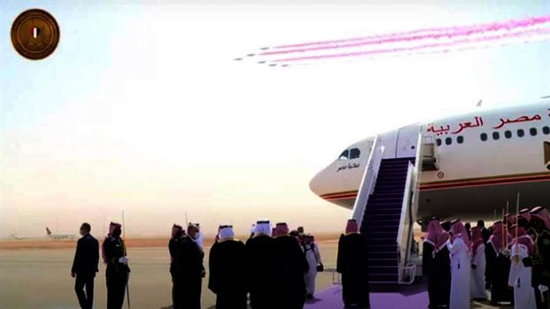 الصقور السعودية ترسم