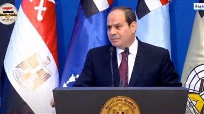 الرئيس السيسي: كل شيء يهون والمهم تبقى مصر