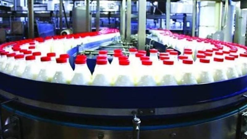 انتاج الألبان - ارشيفية