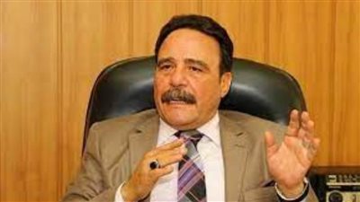 رئيس اتحاد عمال مصر يؤكد ضرورة مساندة التعاون الدولي لزيادة الاستثمارات وتوفير فرص عمل