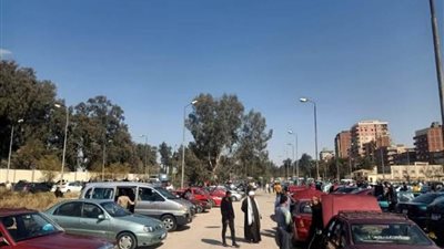 رئيس حي ثان الإسماعيلية يتابع انتظام سير عمل سوق السيارات