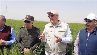 وزير الزراعة يتفقد أحد حقول القمح بأسوان 