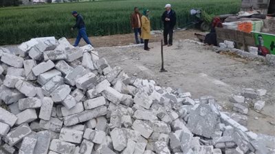 إزالة 31 حالة تعدٍ على الأراضي الزراعية وأملاك الدولة بالبحيرة