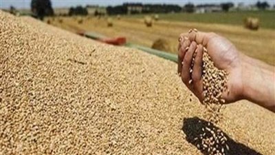 ماذا قالت الولايات المتحدة عن مخزون القمح في مصر؟