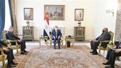 الرئيس السيسي يؤكد دعم مصر لـ