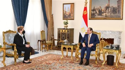 الرئيس السيسي يؤكد تقدير مصر للتعاون المثمر مع الأمم المتحدة فيما يتعلق بقضية تغير المناخ