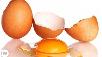 كيف تتعرف على صلاحية البيض للاستخدام