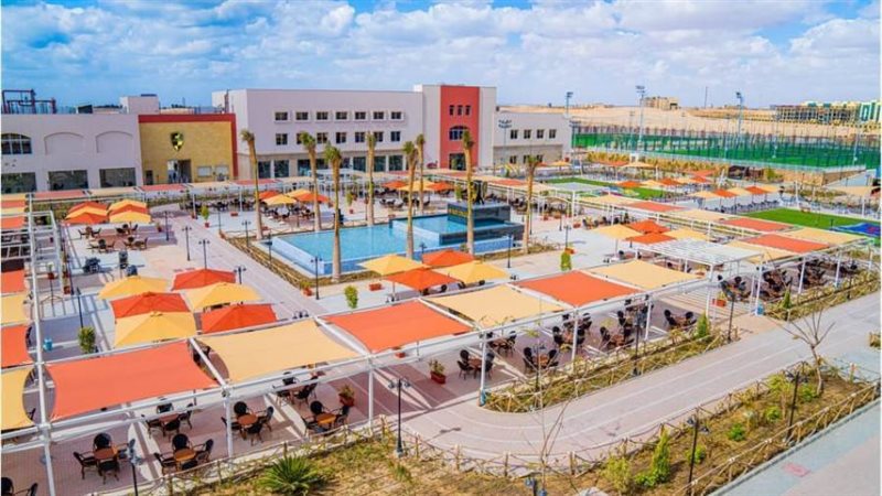 فرع دمياط الجديد