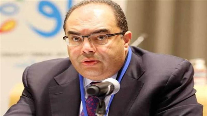 الدكتور محمود محيي