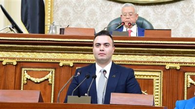 برلماني: حافز توريد القمح يساعد في تأمين احتياجات البلاد