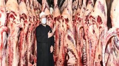 الأوقاف: توزيع نصف مليون شنطة و800 طن لحوم للأسر الأولى بالرعاية خلال شهر رمضان