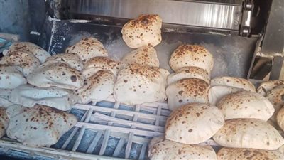 تحرير 217 مخالفه تموينية لضبط الأسعار بالمنيا