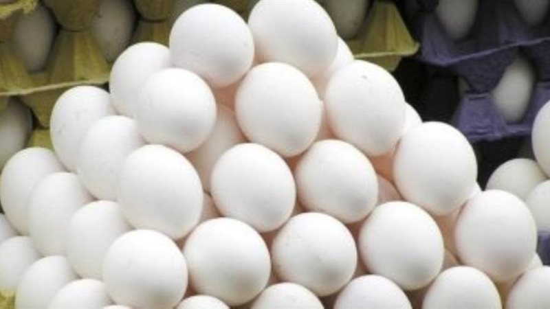البيض الأبيض