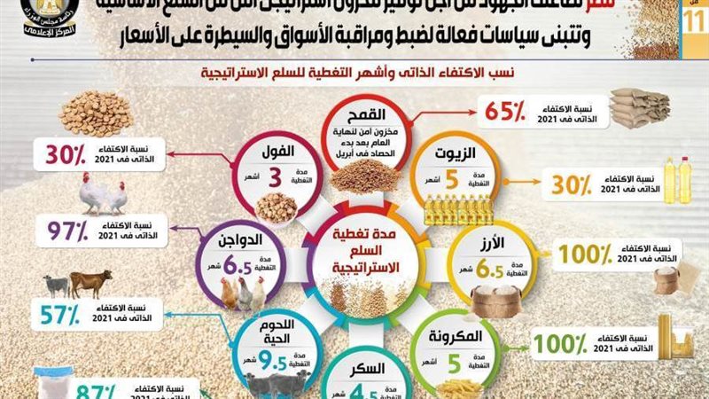 المخزون الاستراتيجي