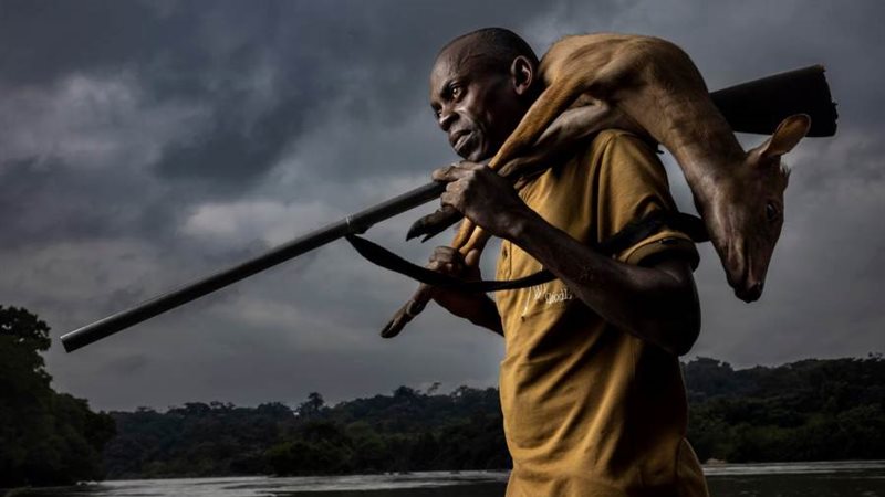 صائد الغزلان