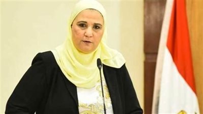 التضامن تنظم ندوة بشأن الاستجابة لاحتياجات الأشخاص ذوي الهمم في الأزمات والأوبئة