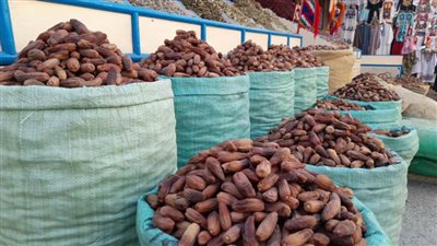 تعرف على سعر البلح فى الأسواق مع قرب حلول شهر رمضان الكريم