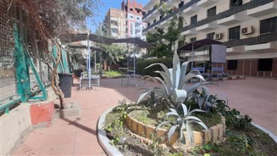 المدن الجامعية بسوهاج على أهبة الإستعداد لاستقبال وفود أولمبياد الكليات المتخصصة 