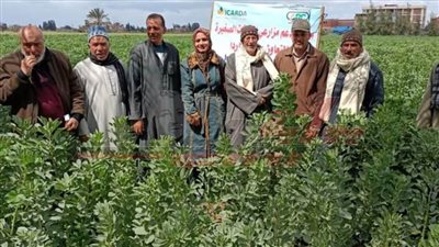 مشروع جديد لدعم مزارعي الحيازات الصغيرة بكفر الشيخ