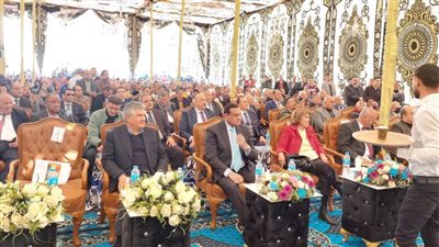 محافظ البحيرة ونجل الرئيس عبد الناصر يشاركان في احتفالية إنشاء مديرية التحرير