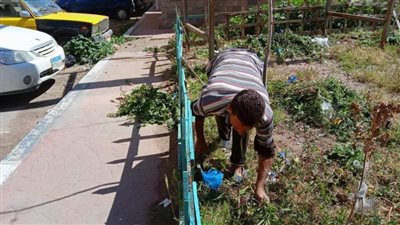 رئيس حي غرب الإسكندرية تتابع رفع كفاءة الحدائق