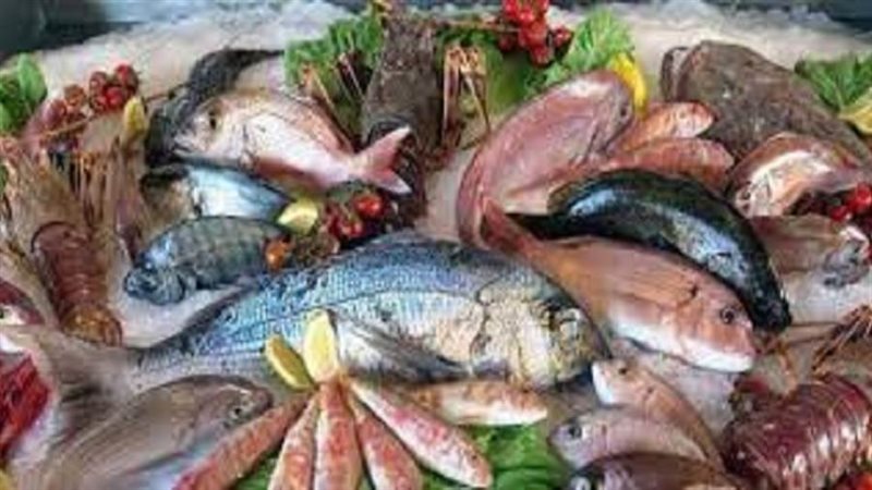 الاسماك _ارشيف