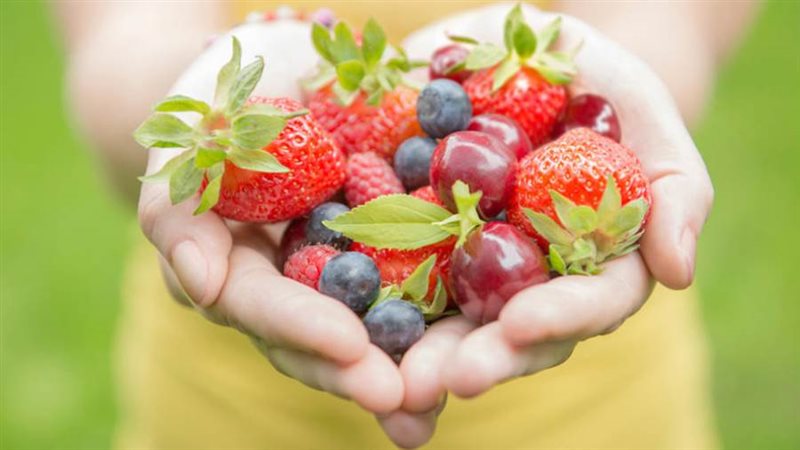 الغذاء السليم والمتوازن