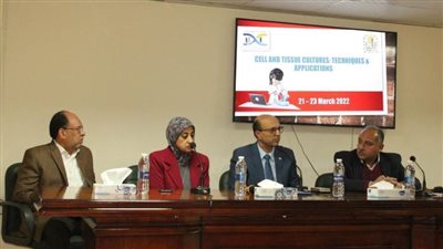 جامعة أسيوط.. انعقاد ورشة العمل الثانية عن زراعة الخلايا والأنسجة 