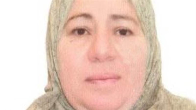 الأم المثالية