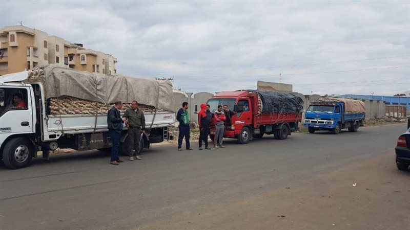 توفير ٢١ ألف كرتونة