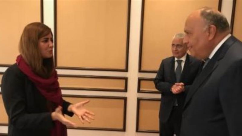 شكري وزير الدولة