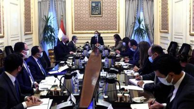 رئيس الوزراء يناقش عروض إقامة مشروعات الهيدروجين الأخضر في مصر