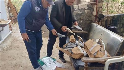 ضبط ٦أطنان أسماك غير صالحة للاستهلاك الآدمي فى حملة بالبحيرة